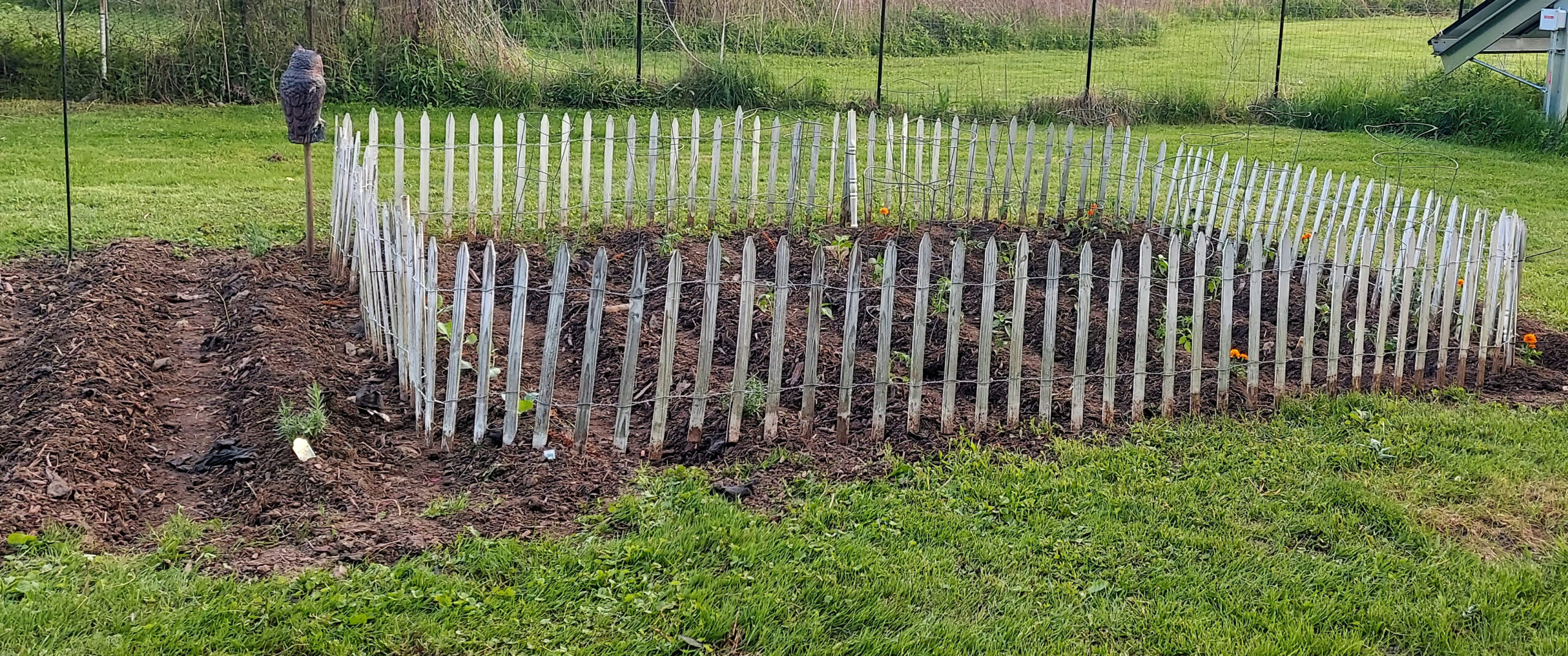 My Garden